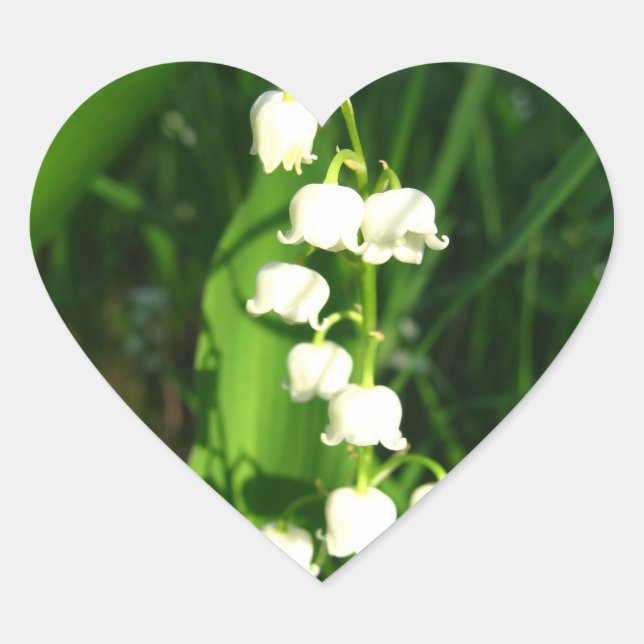 Lily Of The Valley Flowers Heart Sticker (Front)