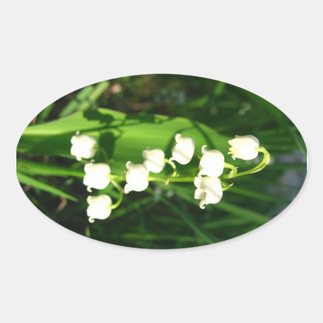 Lily Of The Valley Flowers Oval Sticker (Front)