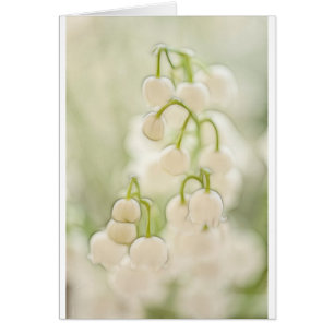 Lily of the Valley Flowers Sketch