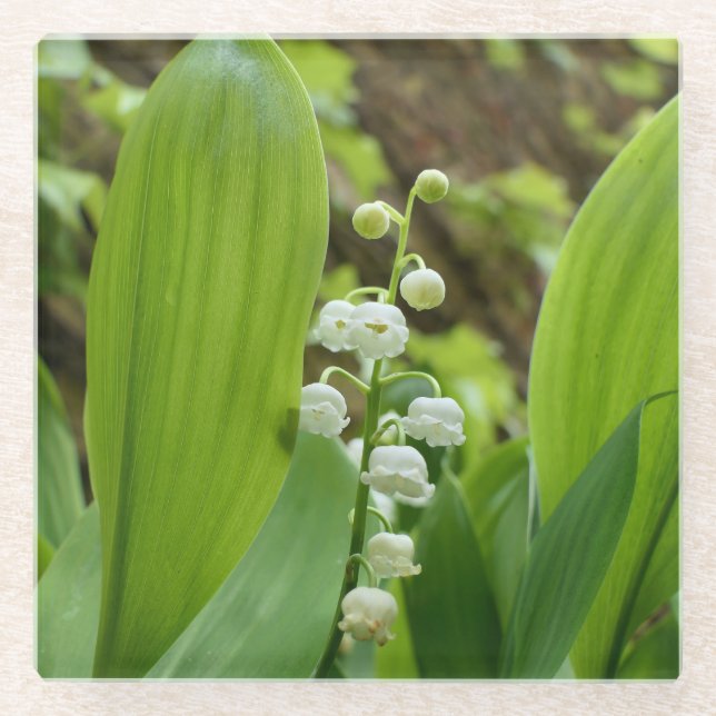 Lily of the Valley Glass Coaster (Front)