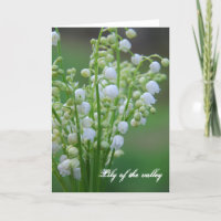 Lily of the valley