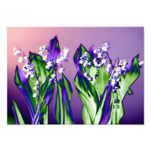 Lily of the Valley in Lavender Photo Print