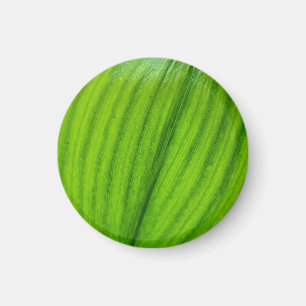 Lily of the Valley Magnet