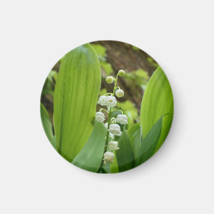 Lily of the Valley Magnet