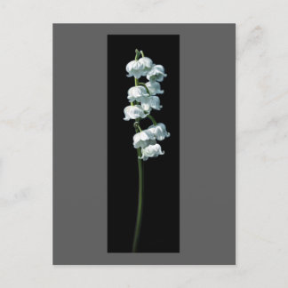 LILY OF THE VALLEY POSTCARD