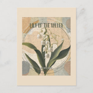 Lily of the Valley Retro May Birth Month Flower  Postcard