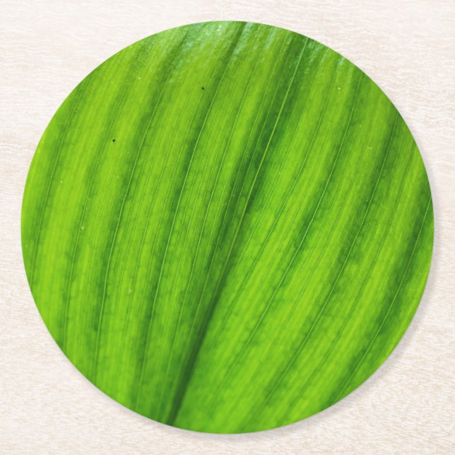 Lily of the Valley Round Paper Coaster (Front)