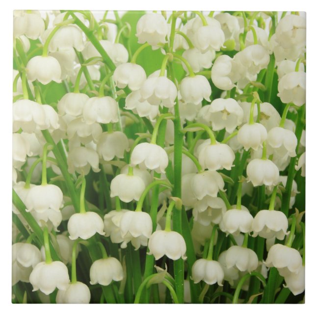 Lily of the Valley Spring Flowers  Tile (Front)