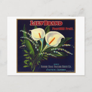 Lily Orange LabelExeter, CA Postcard
