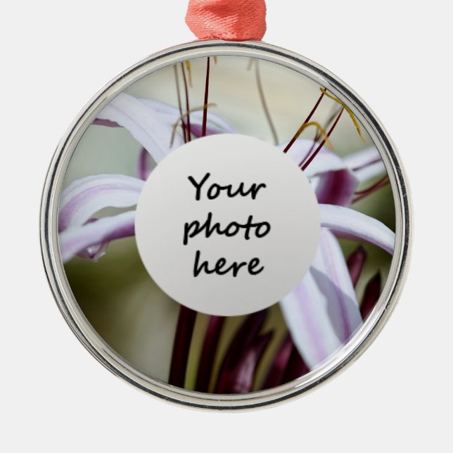 Lily Ornaments (Front)
