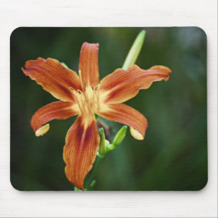Lily P6588 Mousepad