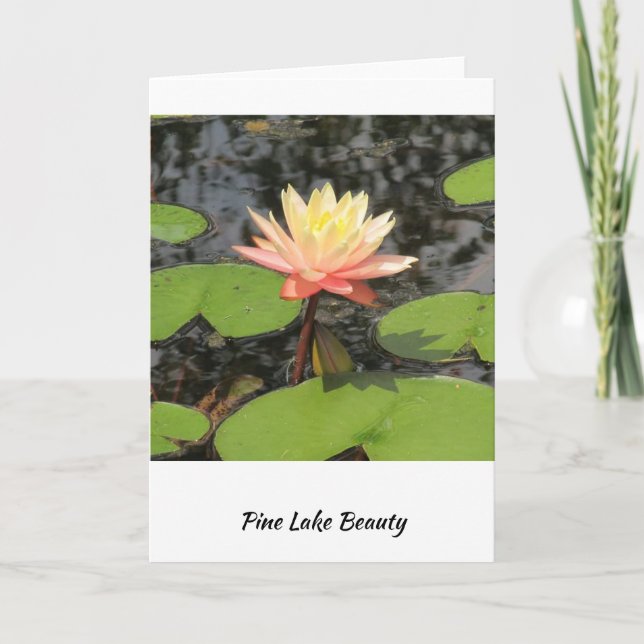 Lily Pad beauty! Card (Front)