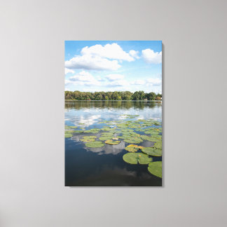 Lily Pad Lake Canvas Print
