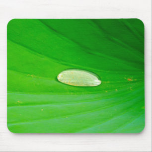 Lily Pad Mouse Mat