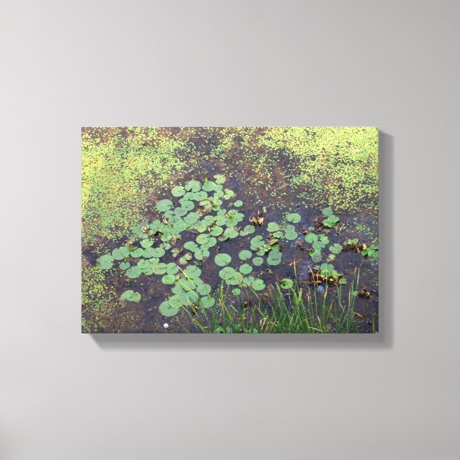 Lily Pad on Canvas Print (Front)