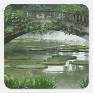 Lily Pad Photo Sticker