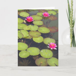 Lily Pads and Lotus Zen Birthday Card