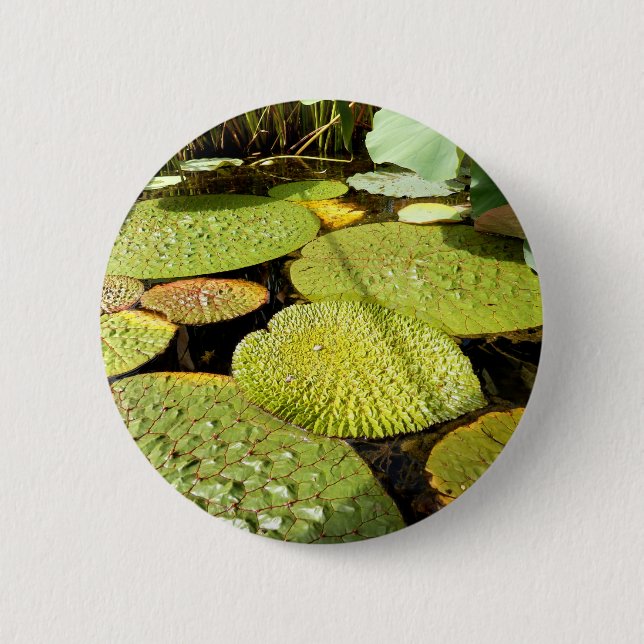 Lily Pads Badge 2 Inch Round Button (Front)