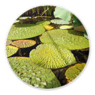 Lily Pads Ceramic Knob