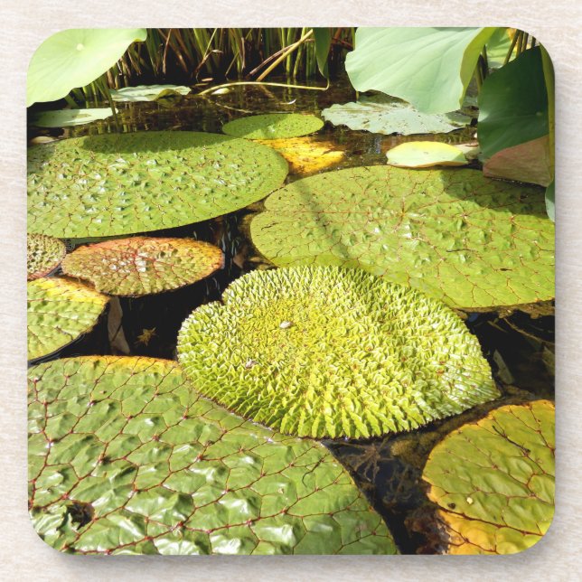Lily Pads Dessous de verre en plastique dur (Devant)