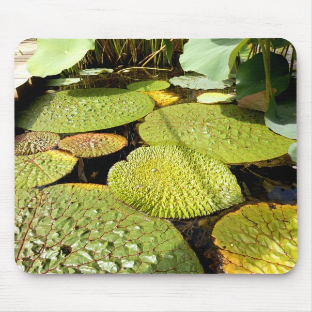 Lily Pads Mouse Mat (Front)