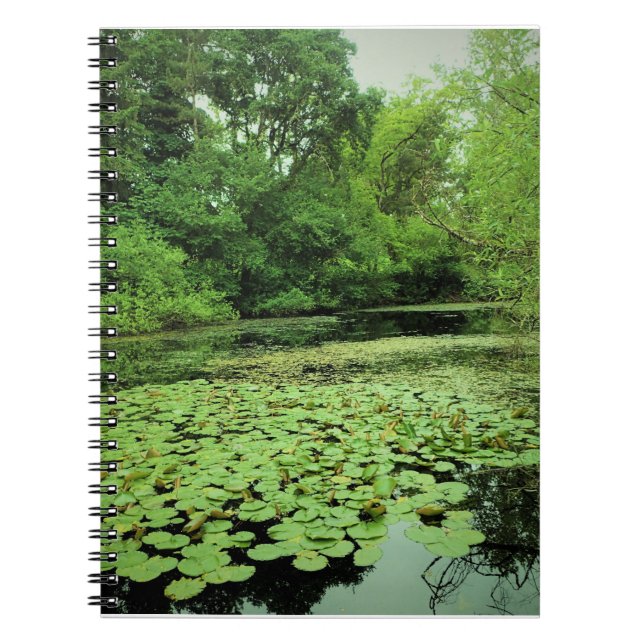 Lily Pads on the Pond Notebook (Front)