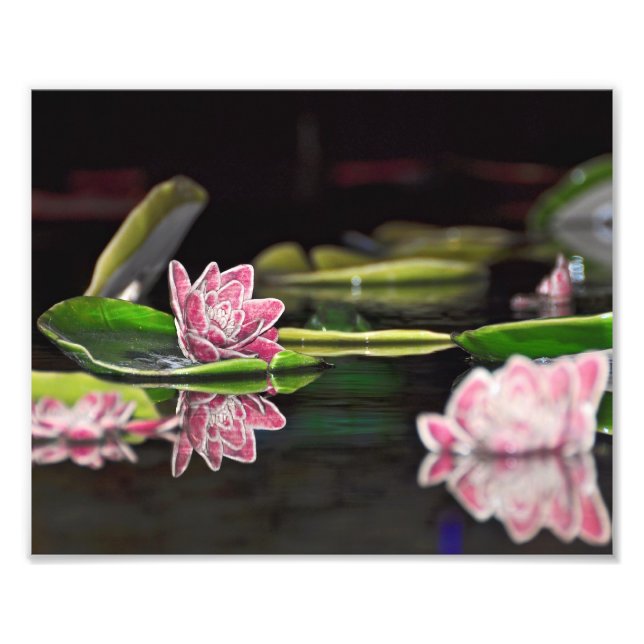 Lily Pads Photo Print (Front)