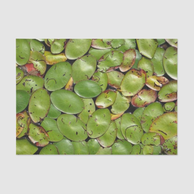 Lily Pads Tissue Paper (Front)