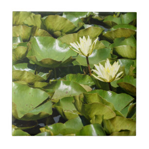 Lily Pads with Blooms Ceramic Photo Tile