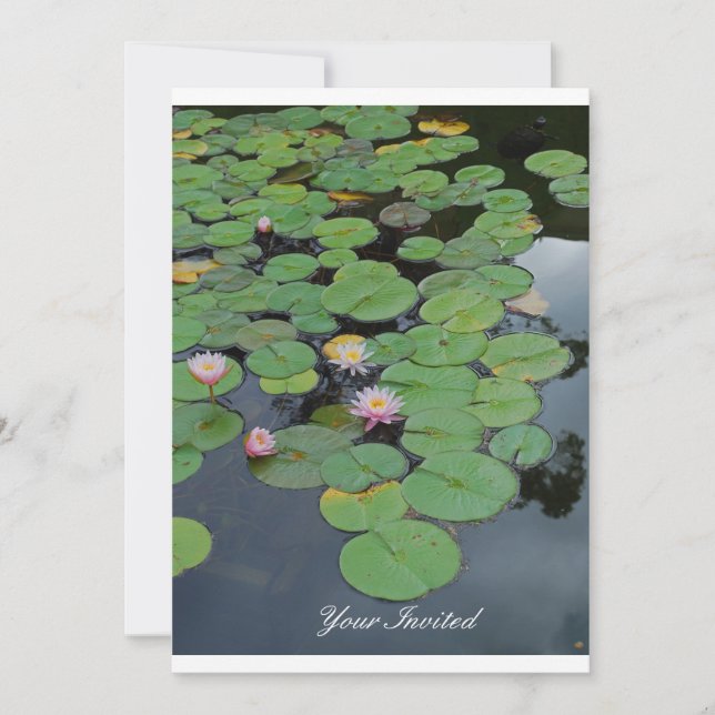 Lily Pads "Your Invited" Invitation (Front)