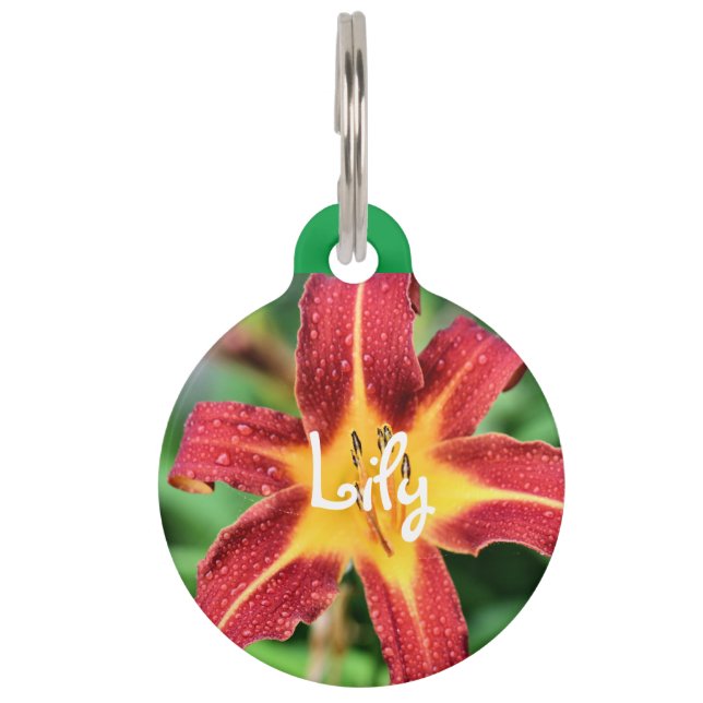 Lily Pet Tag (Front)
