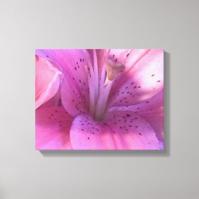 Lily Photograph Canvas Print (Front)