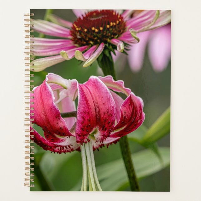 Lily  planner (Front)