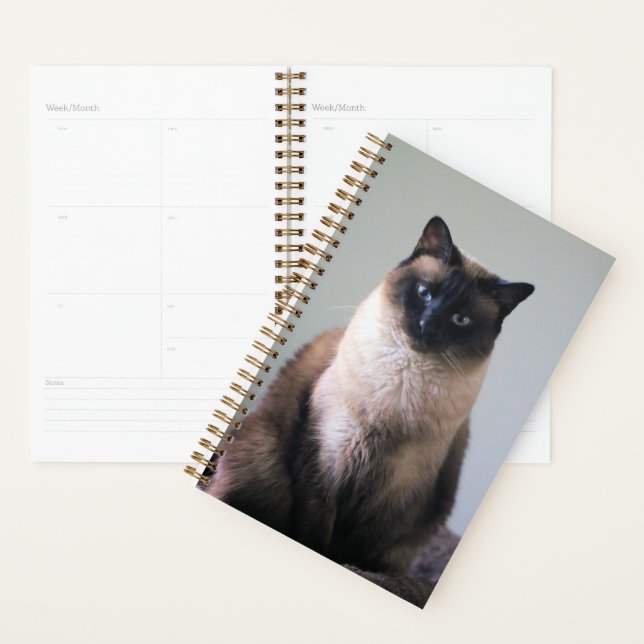 Lily Planner (Display)