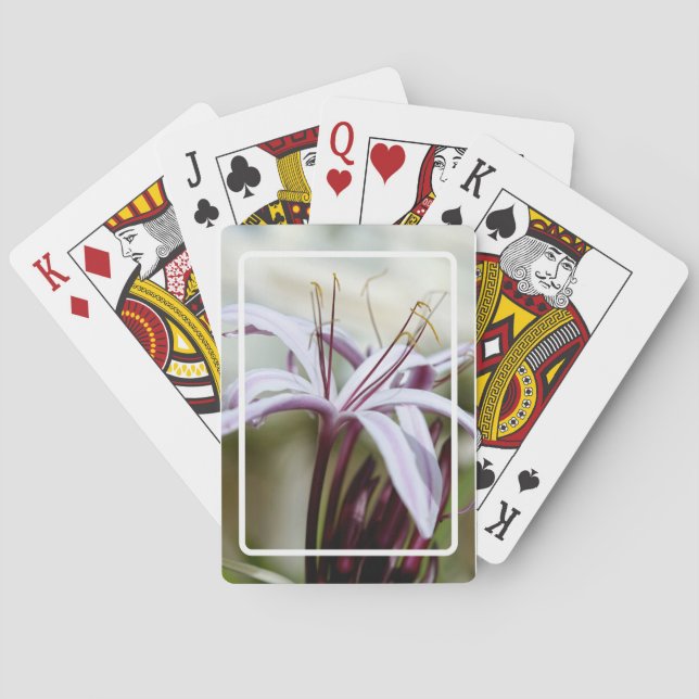 Lily Playing Cards (Back)