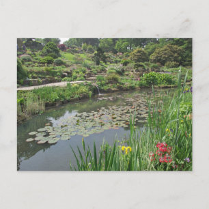 Lily Pond à la carte postale Wisley RHS
