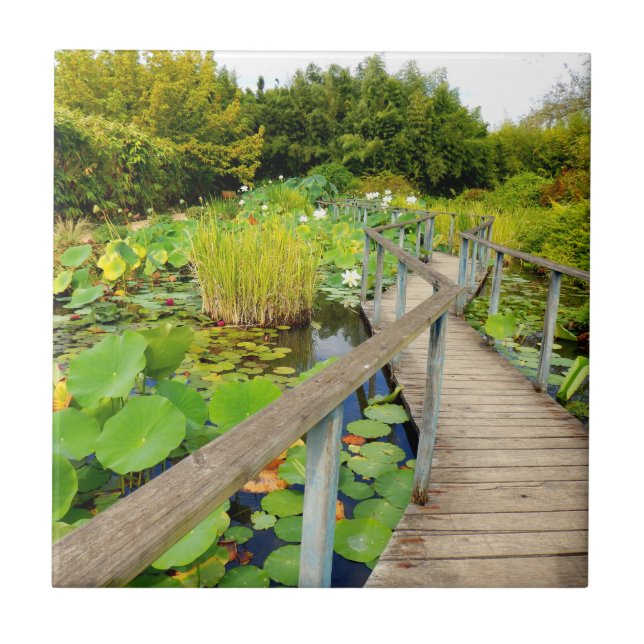 Lily Pond Ceramic Tile (Front)