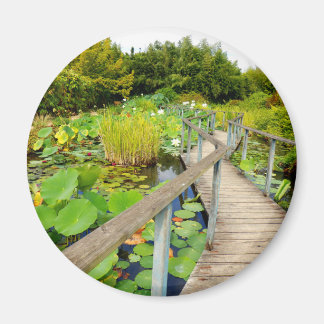 Lily Pond Magnet