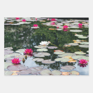 Lily pond wrapping paper sheet