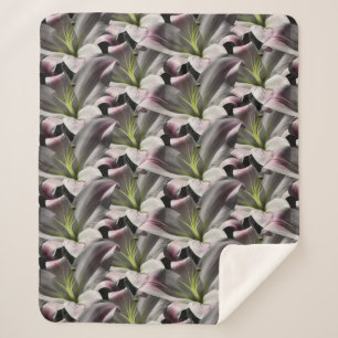 Lily Sherpa Blanket