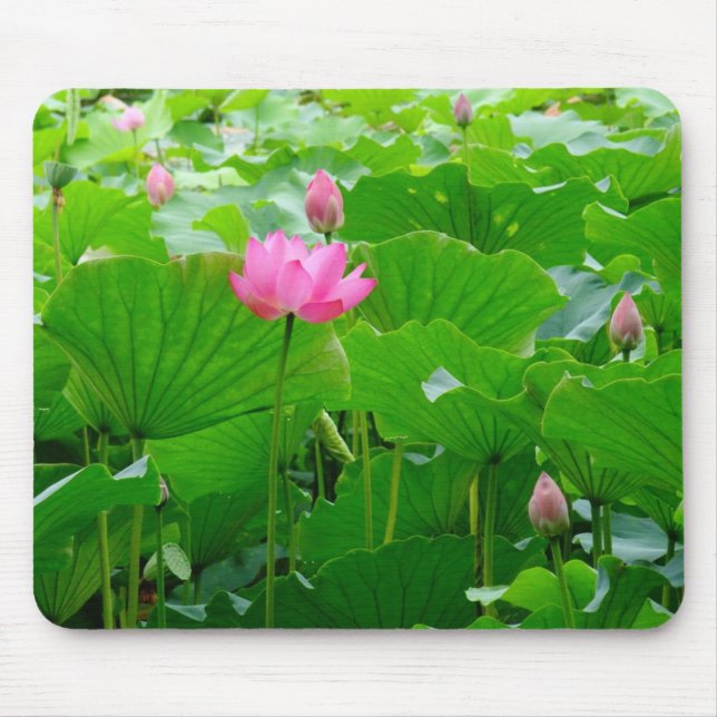 Lily Standing Tall Mouse Pad (Front)