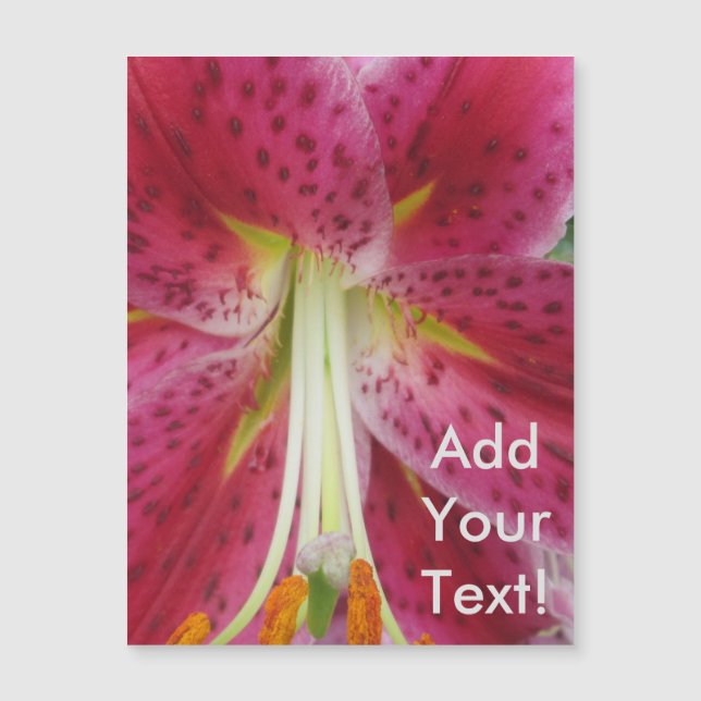 Lily Stargazer Purple Flower (Front)