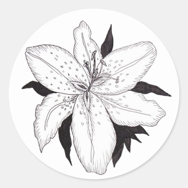 Lily Sticker (Front)