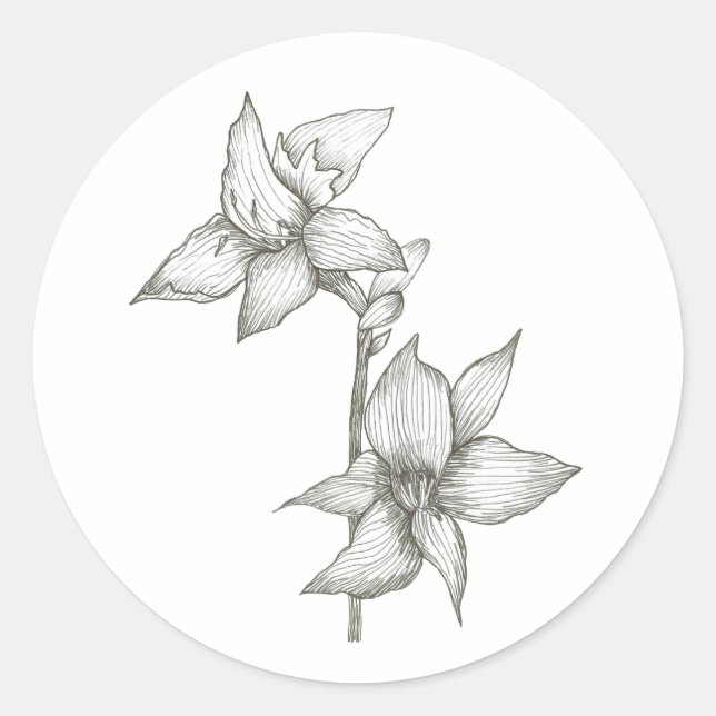 lily sticker (Front)