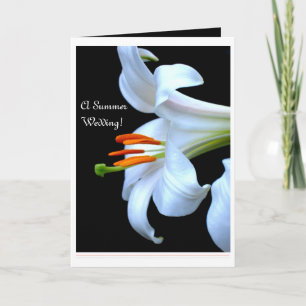 Lily Summer Wedding Save the Date Announcement