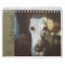 Lily The Whippet Calendar 2016