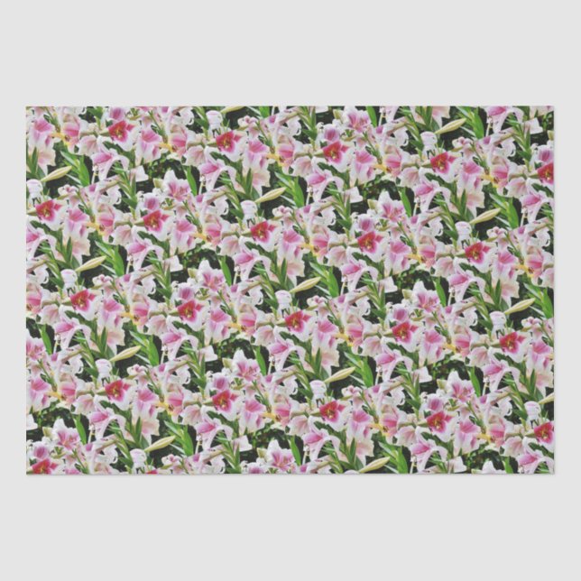 Lily Tissue Paper (Front)