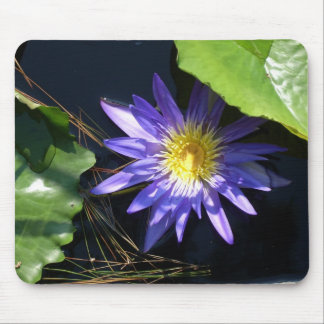 lilypad mouse pad