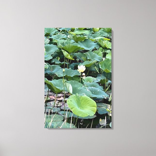 Lilyshade Silence 20 x30 Canvas Print (Front)