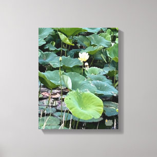 Lilyshade Silence Canvas Print